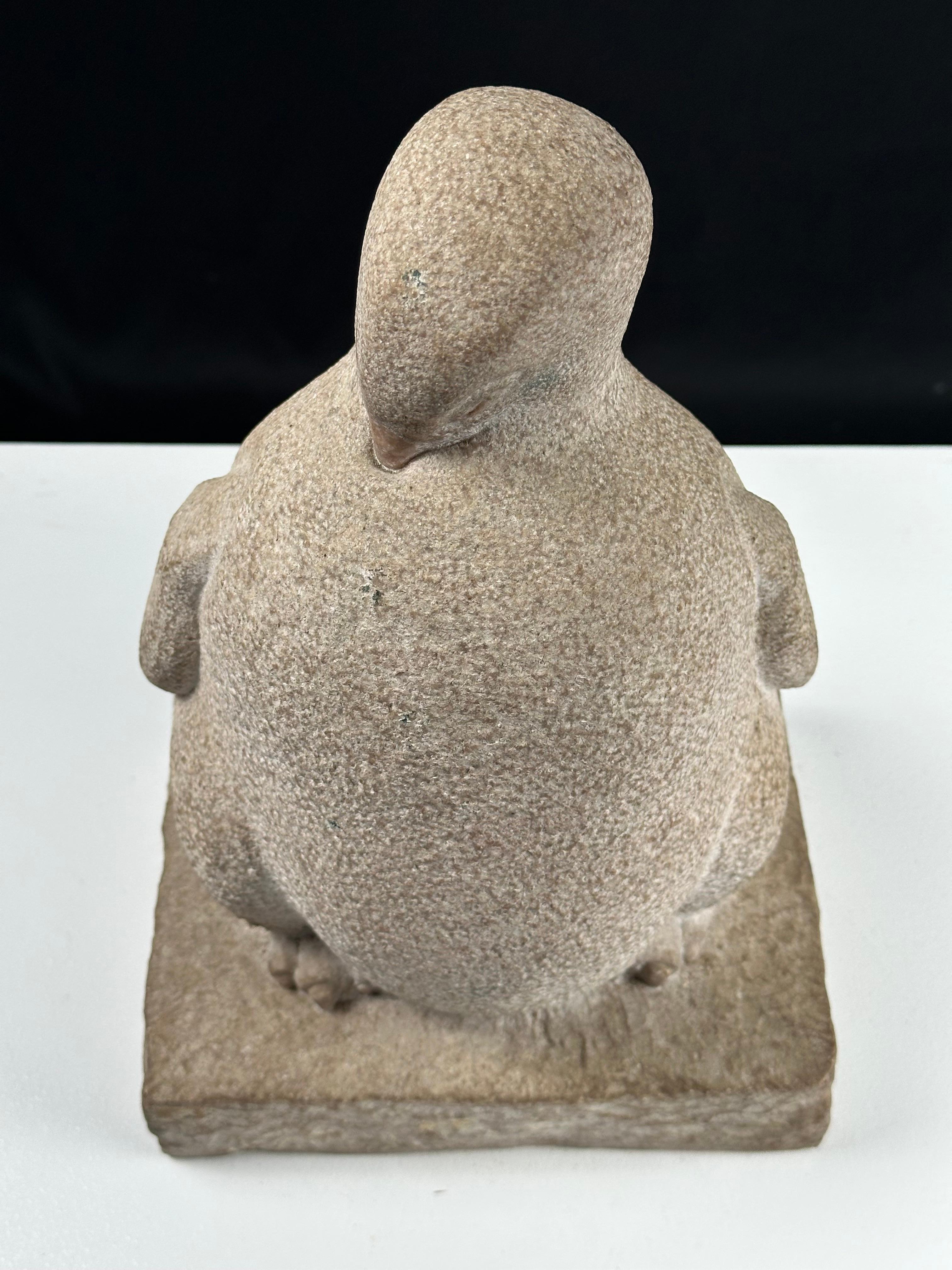 Pingüino Joven en venta 12