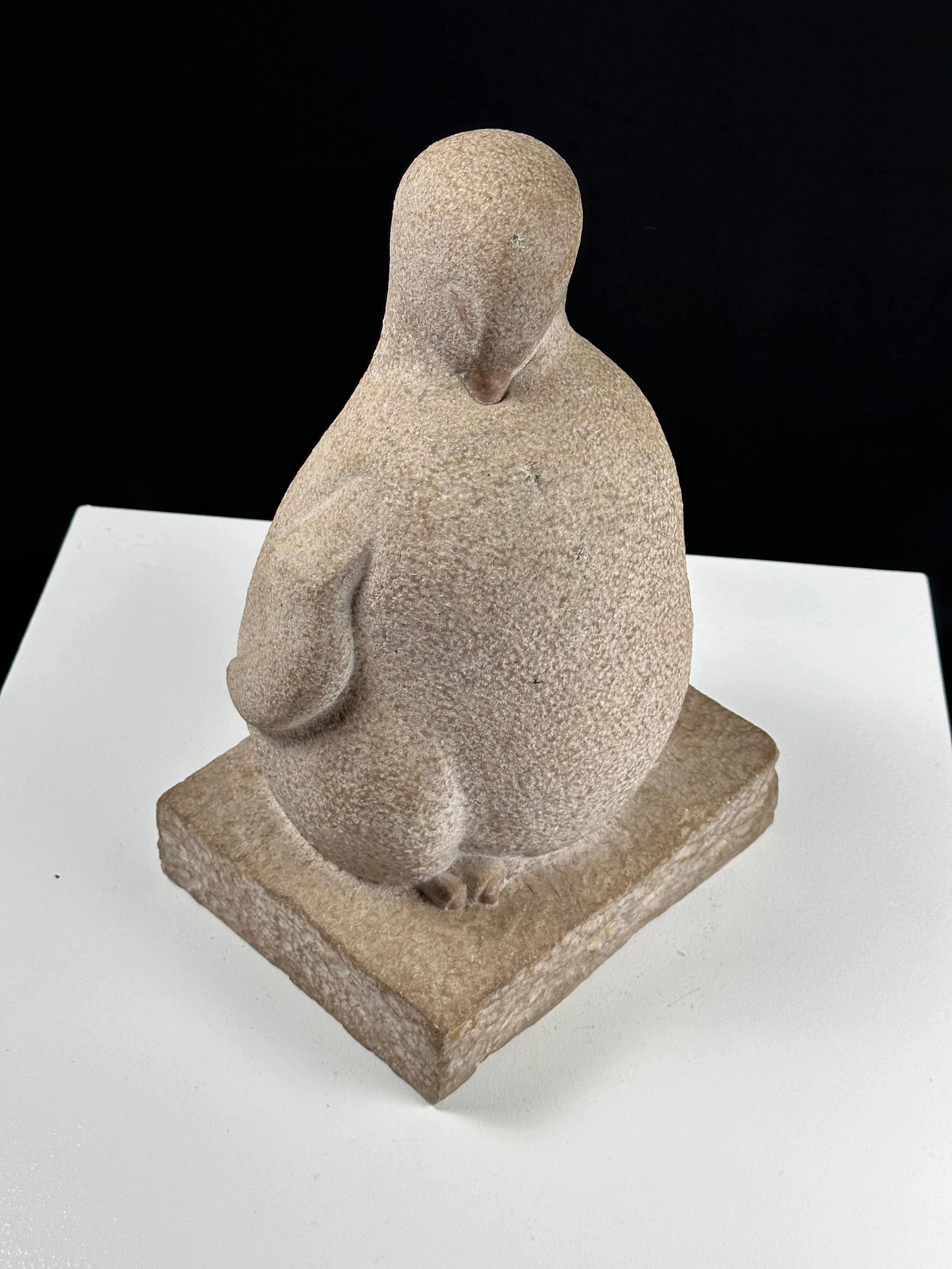Pingüino Joven en venta 13