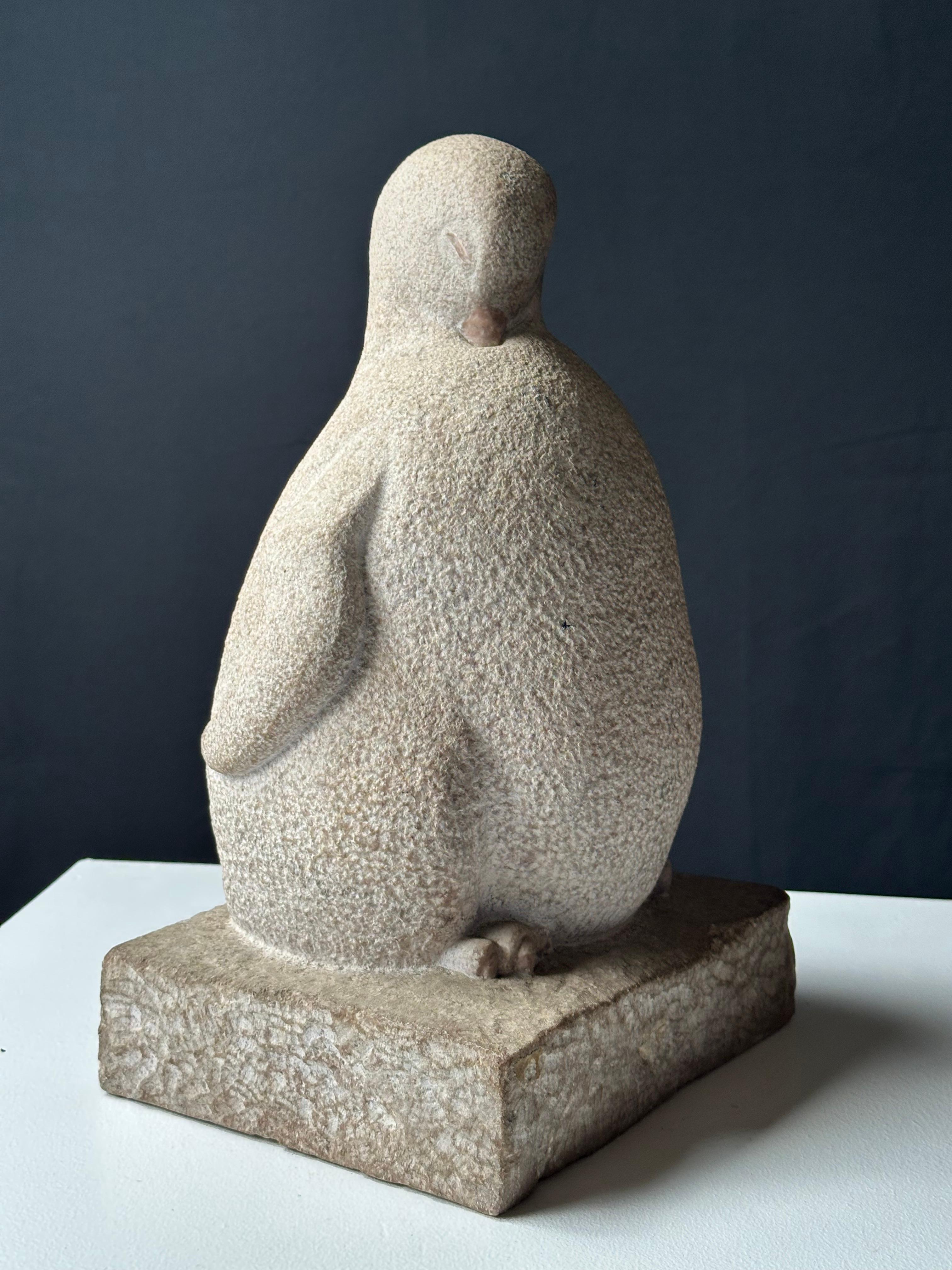 Pingüino Joven en venta 1
