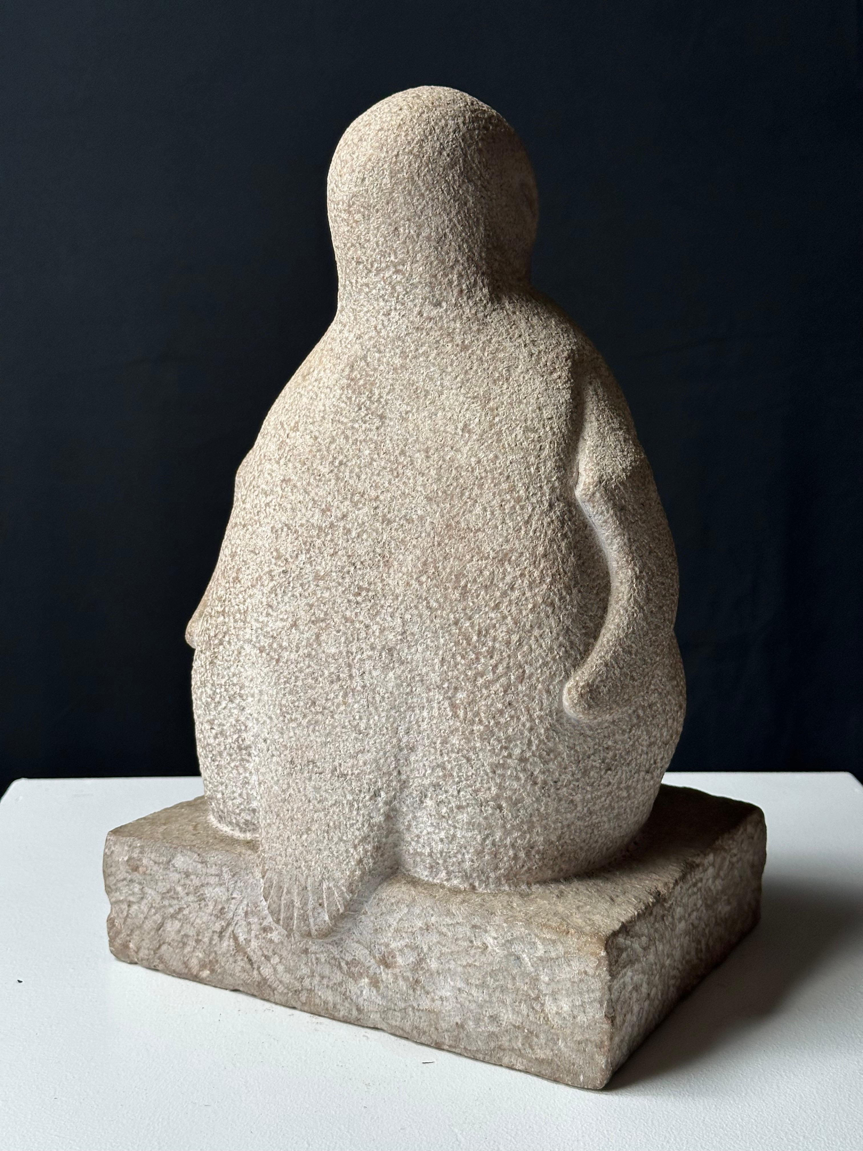 Pingüino Joven en venta 2