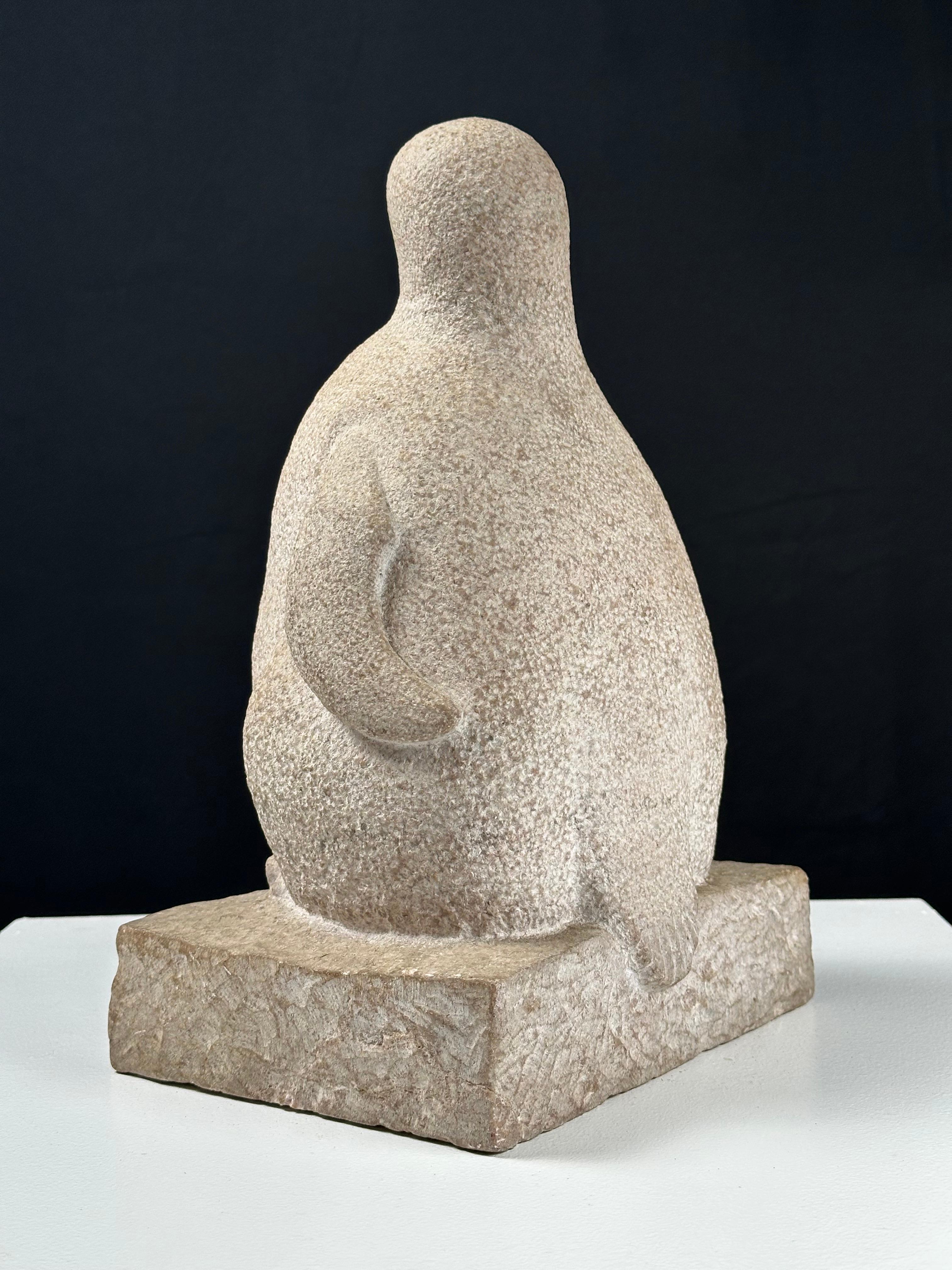 Pingüino Joven en venta 3