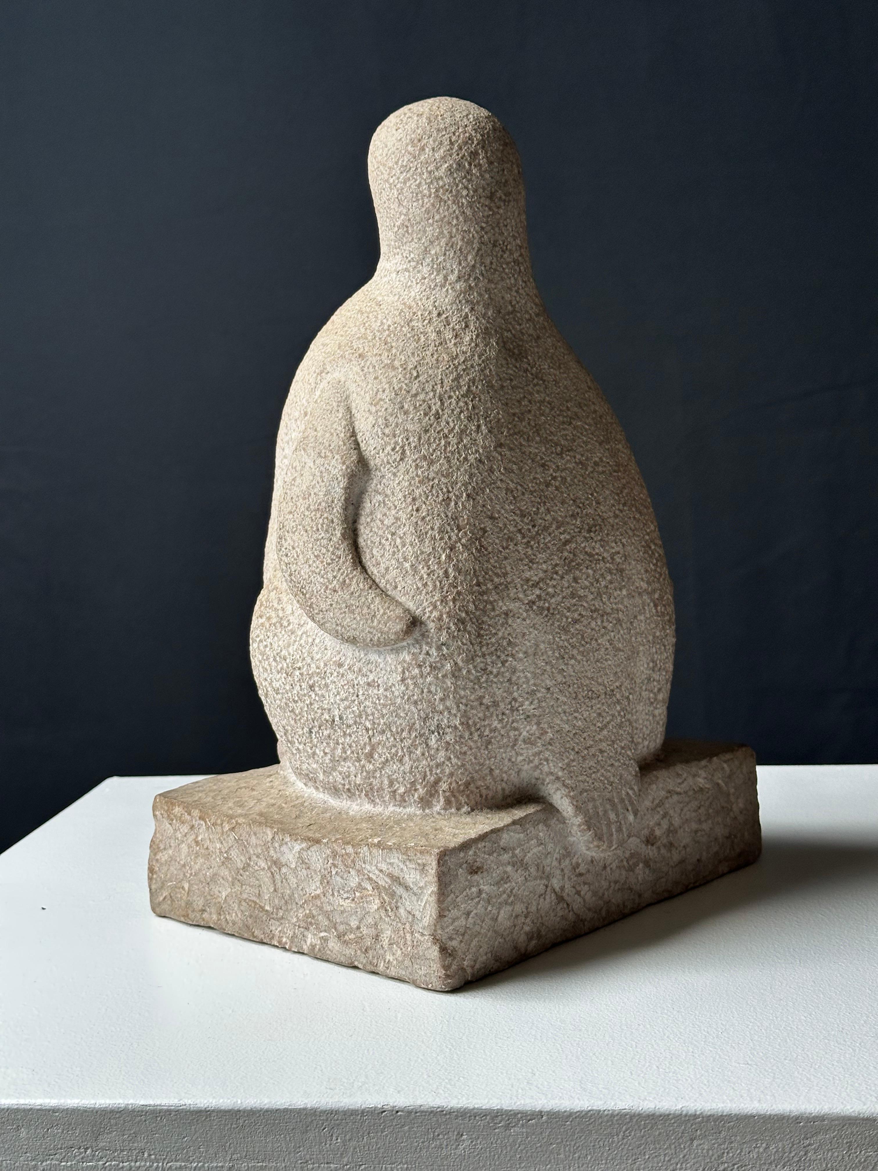 Pingüino Joven en venta 4