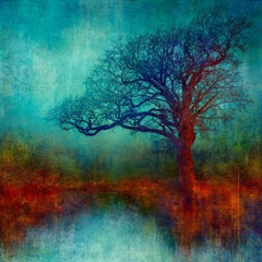 Autumn Alight - Colorido, Brillante, Atmosférico, Árbol, Naturaleza, Arte Digital