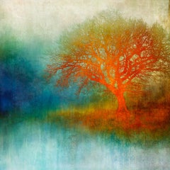 Heure cramoisie - coloré, lumineux, atmosphérique, arbre, nature, art numérique