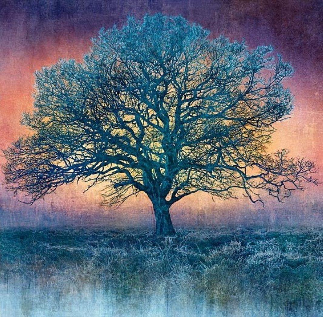 Dawn's Calling - Colorido, Brillante, Atmosférico, Árbol, Naturaleza, Arte Digital - Print Contemporáneo de Mark Munroe Preston