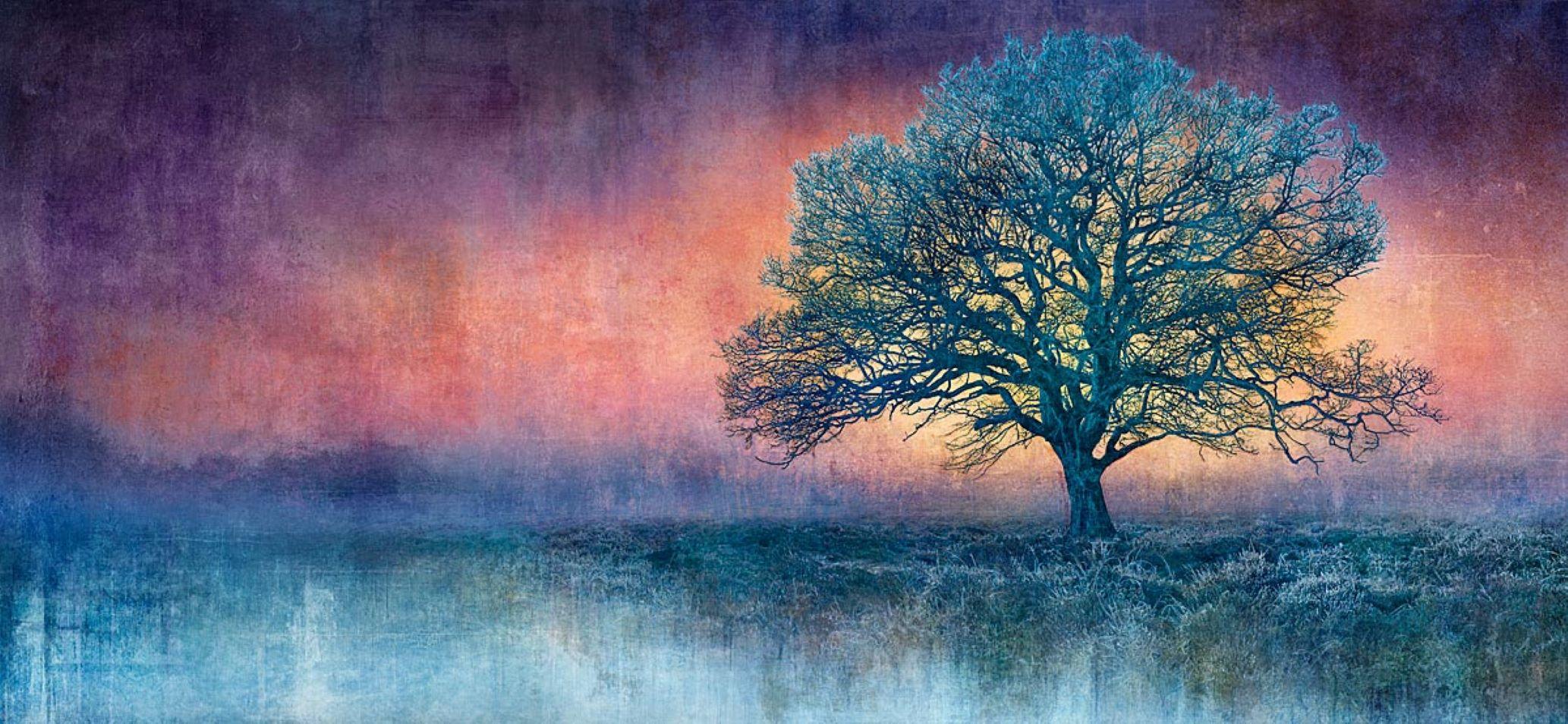 Dawn's Calling - Colorido, Brillante, Atmosférico, Árbol, Naturaleza, Arte Digital