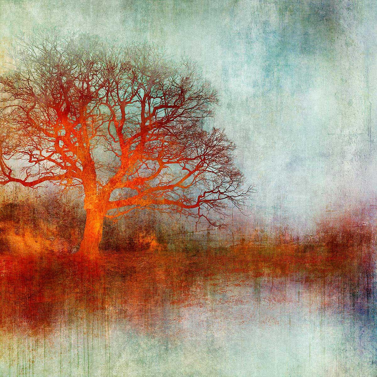 First Light - Bunt, hell, stimmungsvoll, Baum, Natur, Digitale Kunst (Zeitgenössisch), Mixed Media Art, von Mark Munroe Preston