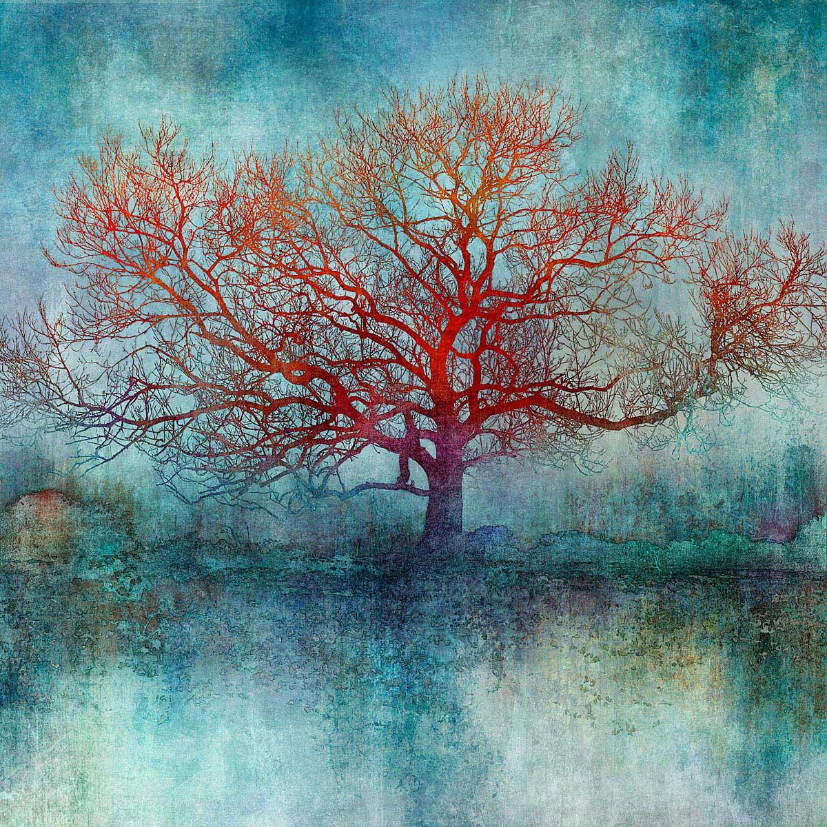 En el Otoño Azul - Colorido, Brillante, Atmosférico, Árbol, Naturaleza, Arte Digital