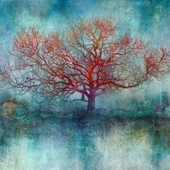 Nel blu dell'autunno - Colorato, Luminoso, Atmosferico, Albero, Nature, Arte digitale