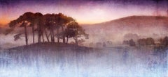 Crepuscolo di lillà - Colorato, Luminoso, Atmosferico, Albero, Nature, Arte digitale