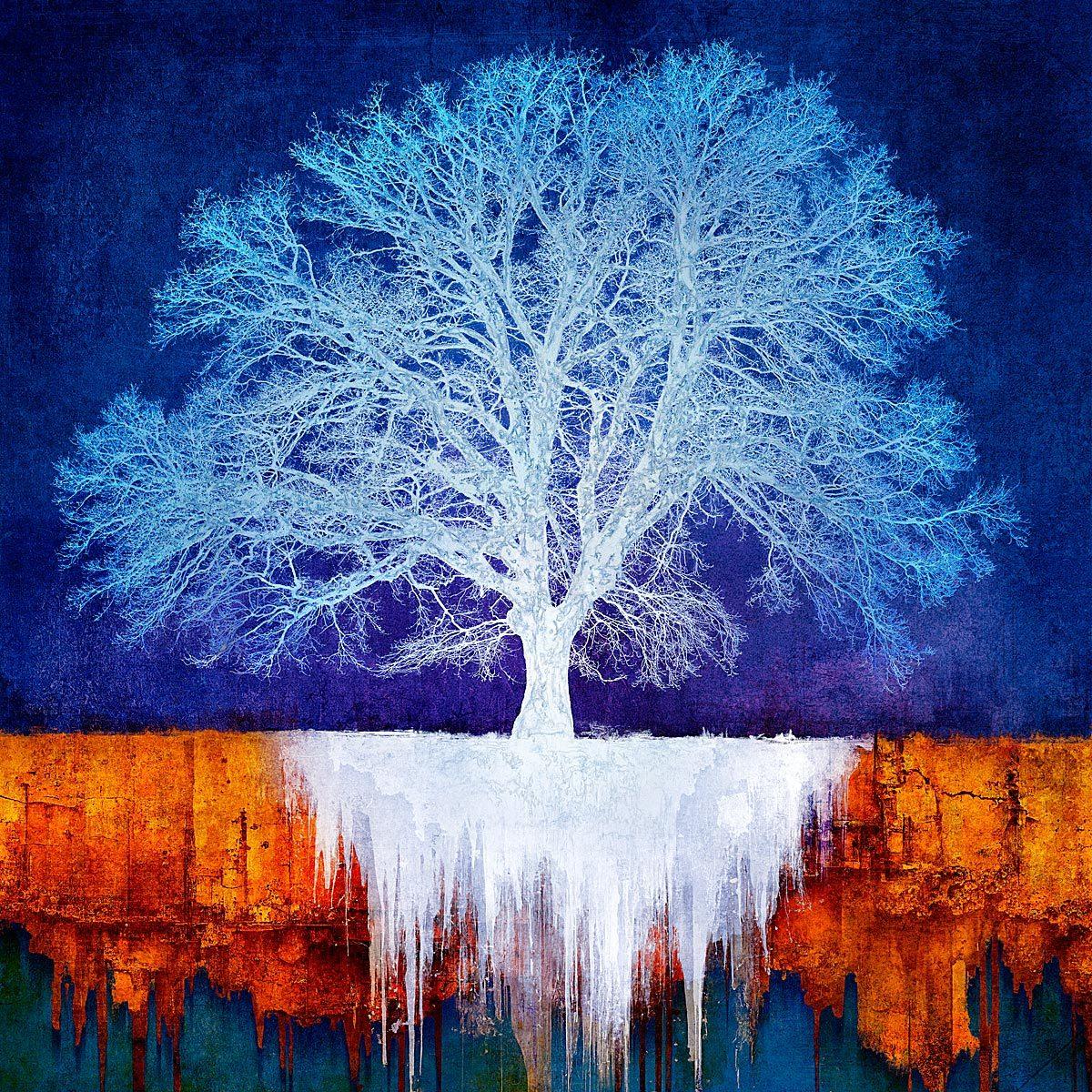 Von Eis und Feuer - farbenfroh, hell, atmosphärisch, Baum, Natur, Digital Art – Mixed Media Art von Mark Munroe Preston
