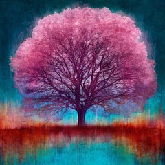 Bagliore rosa - Colorato, Luminoso, Atmosferico, Albero, Nature, Arte digitale