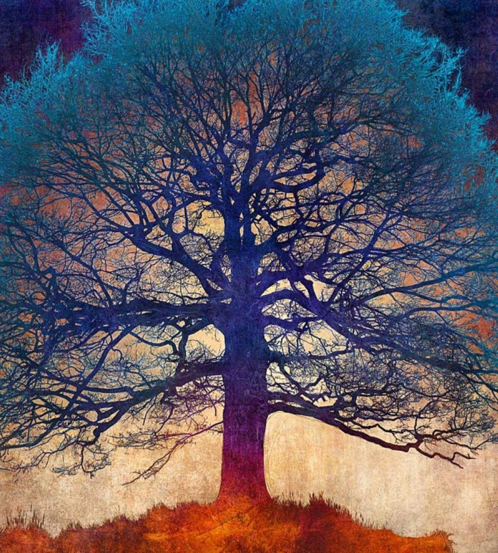 Reflejos en Azul - Colorido, Brillante, Atmosférico, Árbol, Naturaleza, Arte Digital - Print de Mark Munroe Preston