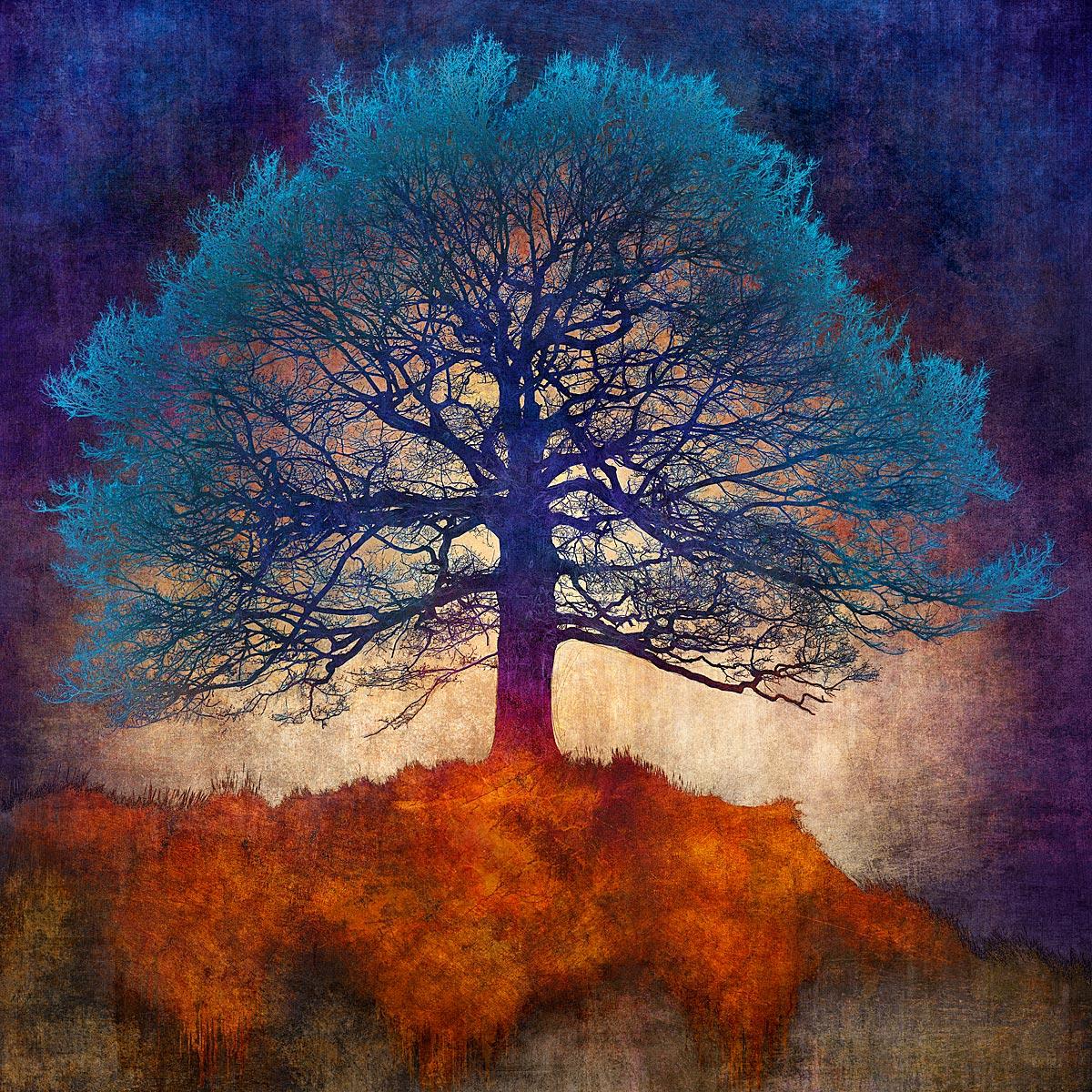 Reflejos en Azul - Colorido, Brillante, Atmosférico, Árbol, Naturaleza, Arte Digital