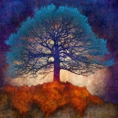Reflections in Azure - Bunt, Hell, Stimmungsvoll, Baum, Nature, Digital Art