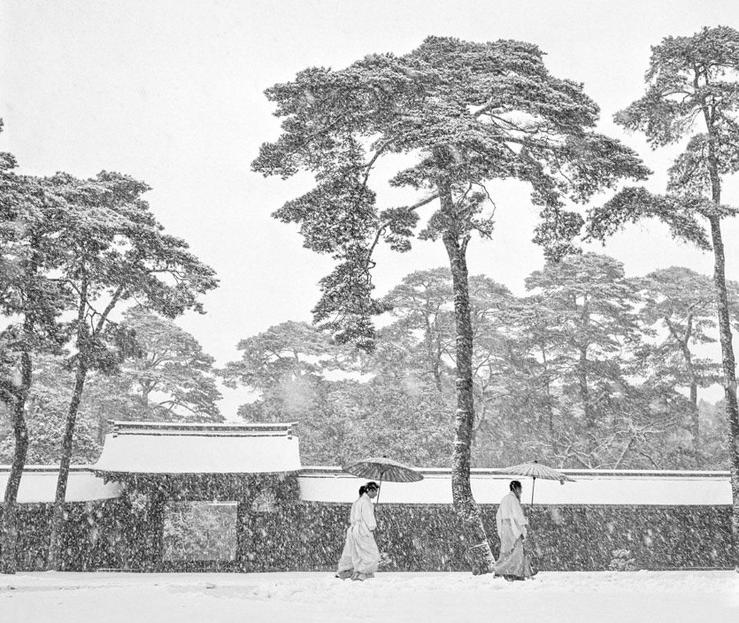 Nature Photographie noir et blanc