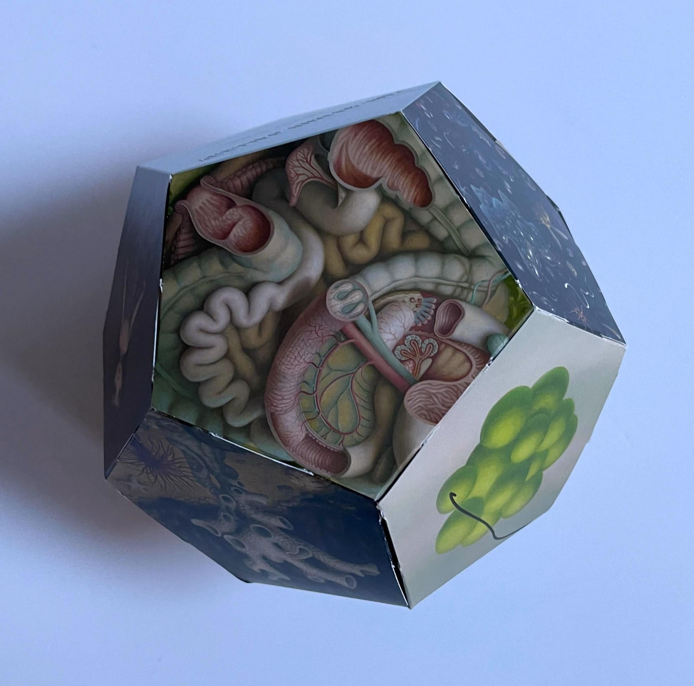 Invitation en 2 parties formant un dodecahedron en 3D signé à la main par Mark Ryden à Kasmin en vente 6