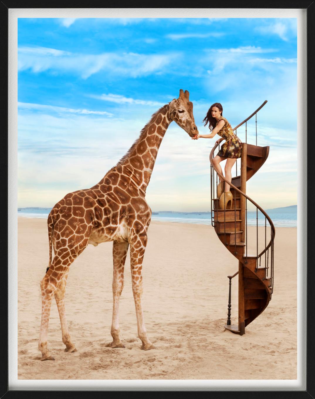 Demi Moore, montant les marches dans le désert, caressant une girafe, photographiée par Mark Seliger. 

Tous les tirages sont en édition limitée. Disponible en plusieurs tailles. Encadrement haut de gamme sur demande.

Toutes les impressions sont