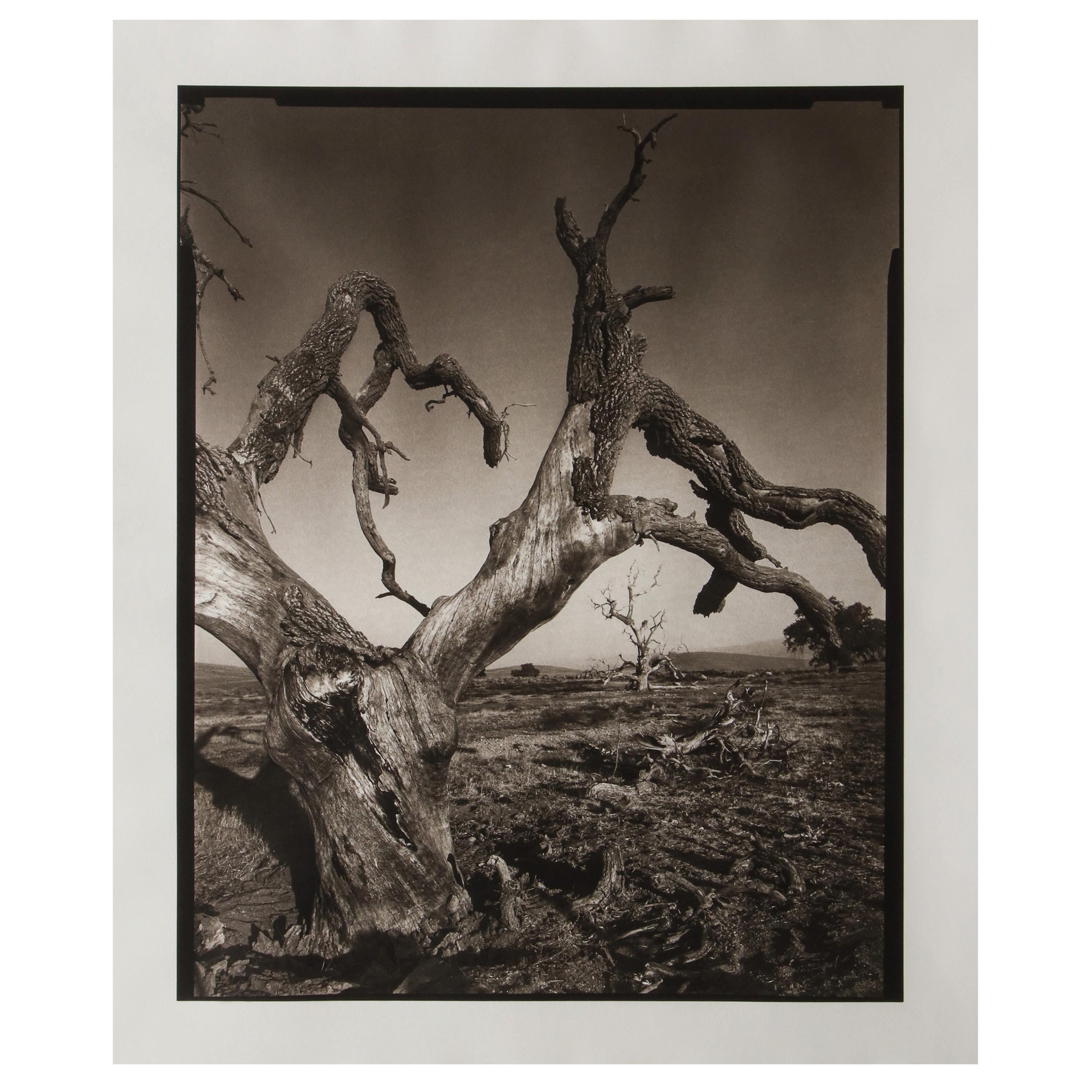 Mark Seliger "Tejon Ranch" Photograph, Signed and Numbered