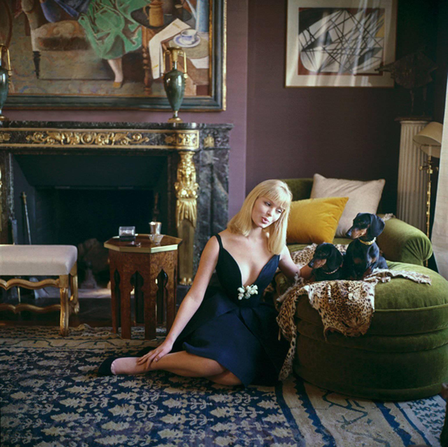 Mark Shaw Color Photograph -  Designers' Homes, Nico with Dachshunds, 1960