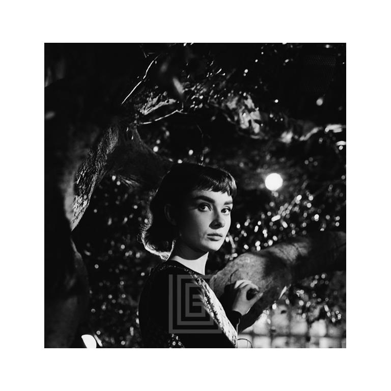 Mark Shaw Figurative Photograph - Audrey Hepburn Under Tree, Close, 1953