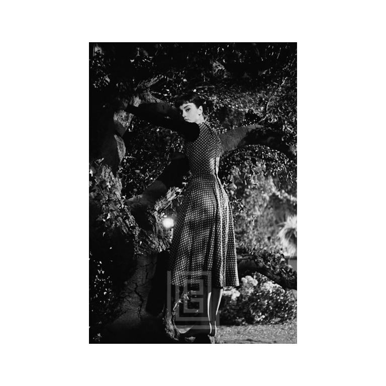Black and White Photograph di Mark Shaw - Audrey Hepburn sotto un albero, guarda indietro, 1953