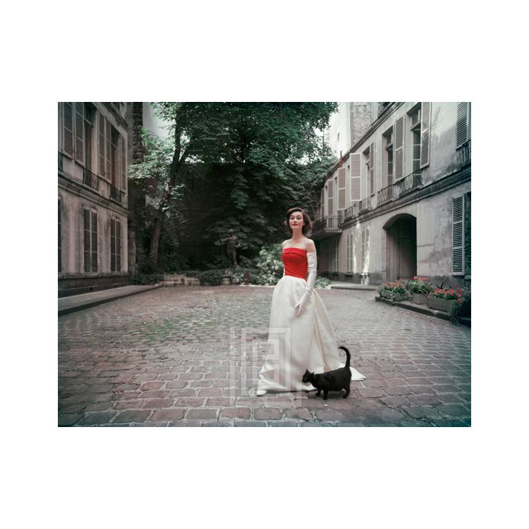 Color Photograph di Mark Shaw - Balenciaga Raso rosso e bianco con gatto nero, 1955