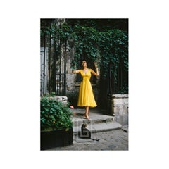 Vintage Desses Yellow Chiffon in Courtyard with Black Cat, 1955