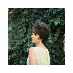 Retro Elizabeth Taylor in Yellow Chiffon, Looks Away, 1961