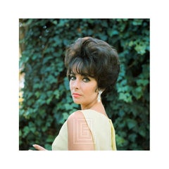 Vintage Elizabeth Taylor in Yellow Chiffon, Looks Over Shoulder, 1961