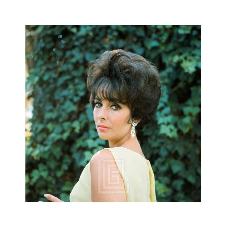 Mark Shaw Color Photograph - Elizabeth Taylor in Yellow Chiffon, Looks Over Shoulder, 1961