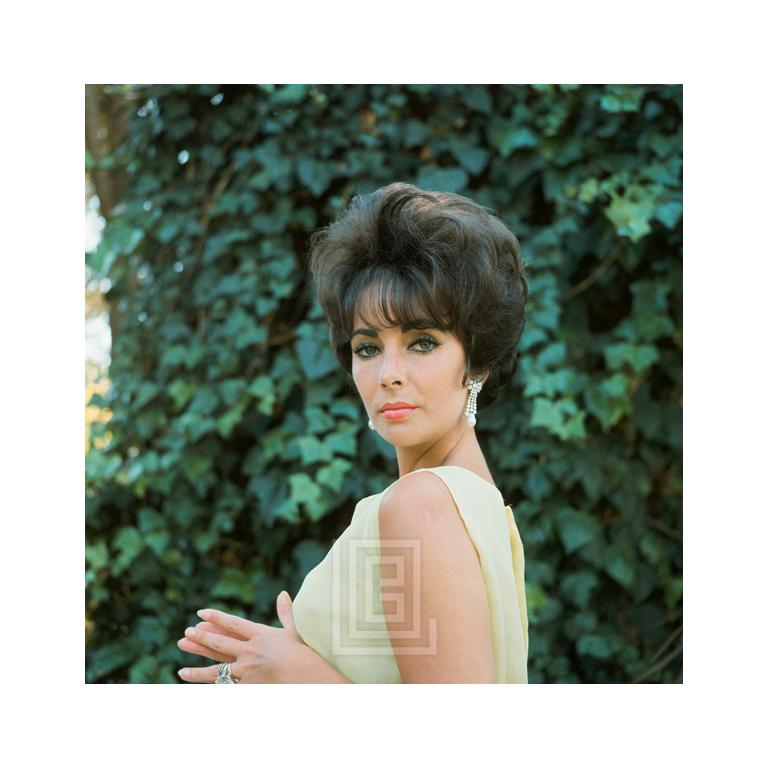 Mark Shaw Portrait Photograph - Elizabeth Taylor in Yellow Chiffon, Shoulder Shrug, 1961