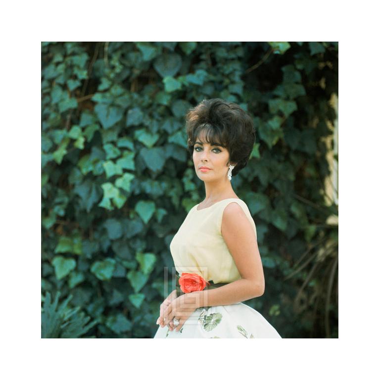 Portrait Photograph de Mark Shaw - Elizabeth Taylor en gasa amarilla, vista lateral 1, 1961