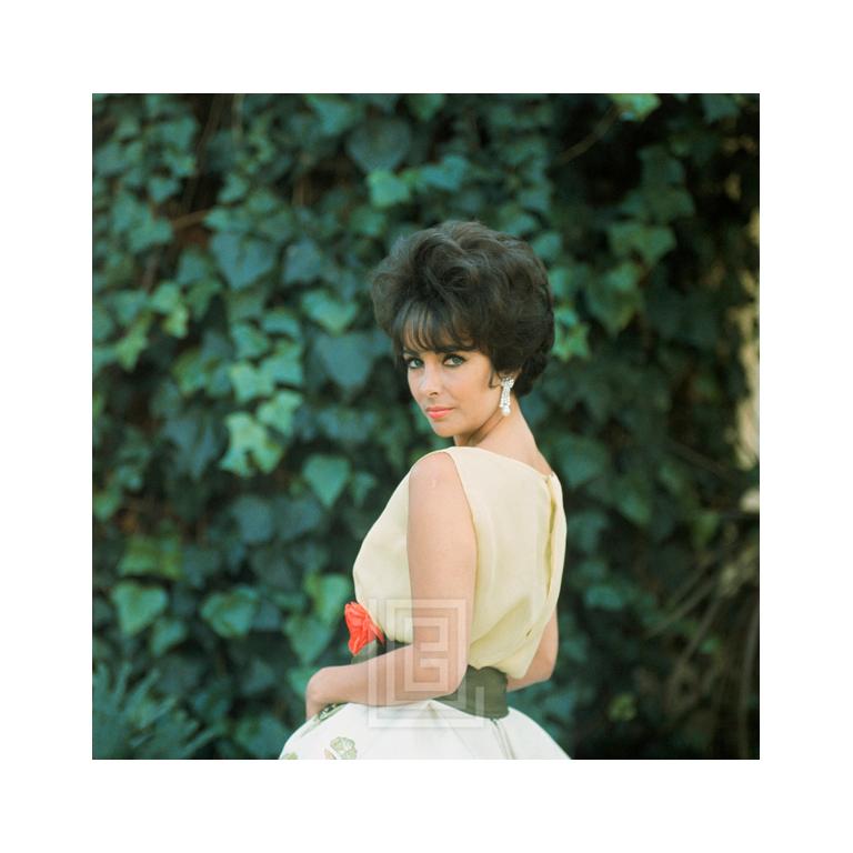 Mark Shaw Color Photograph – Elizabeth Taylor in gelbem Chiffon, Seitenansicht 2, 1961