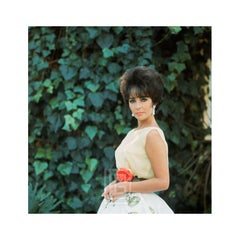 Vintage Elizabeth Taylor in Yellow Chiffon, Side View 3, 1961