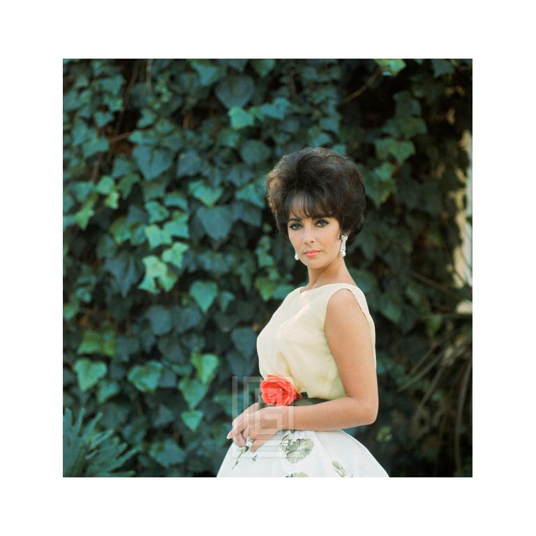 Color Photograph Mark Shaw - Elizabeth Taylor en mousseline de soie jaune, vue latérale 3, 1961