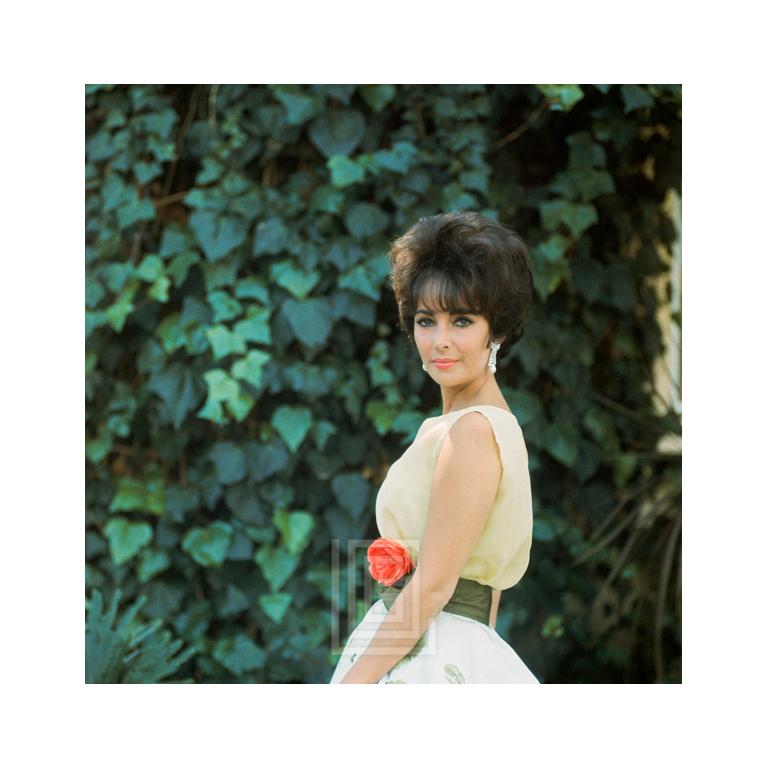 Mark Shaw Color Photograph – Elizabeth Taylor in gelbem Chiffon, Seitenansicht 4,1961