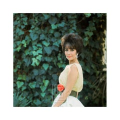 Vintage Elizabeth Taylor in Yellow Chiffon, Side View 4, 1961