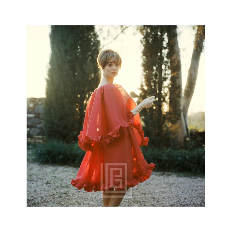 Figurative Photograph di Mark Shaw - Elsa Martinelli in chiffon rosso circa 1960