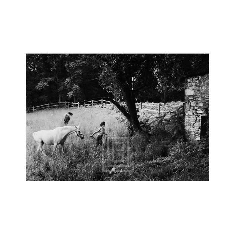 Mark Shaw Figurative Photograph - Kennedy, Jackie Leads Horse, 1959