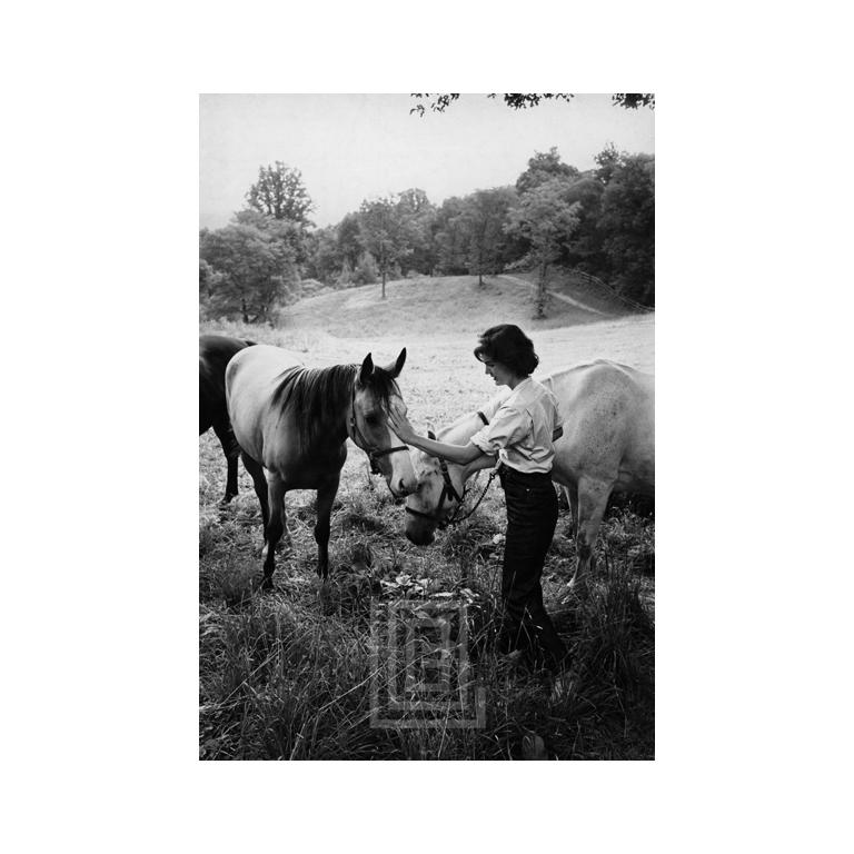Mark Shaw Black and White Photograph – Kennedy Kennedy, Jackie mit zwei Pferden, 1959