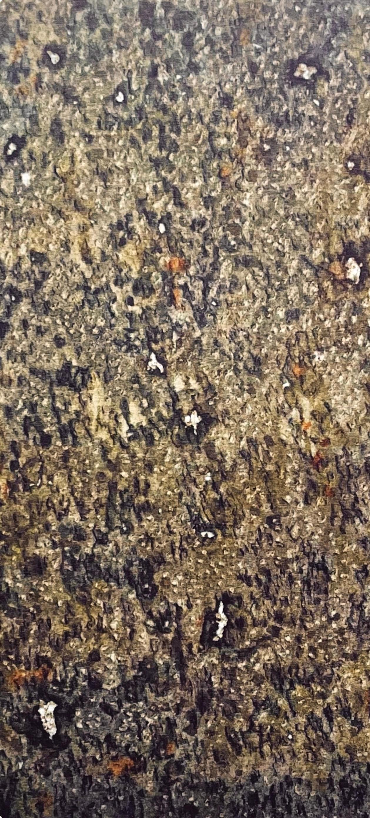 Tobey, L'automne, Mark Tobey, Peintres d'aujourd'hui (after) For Sale 1