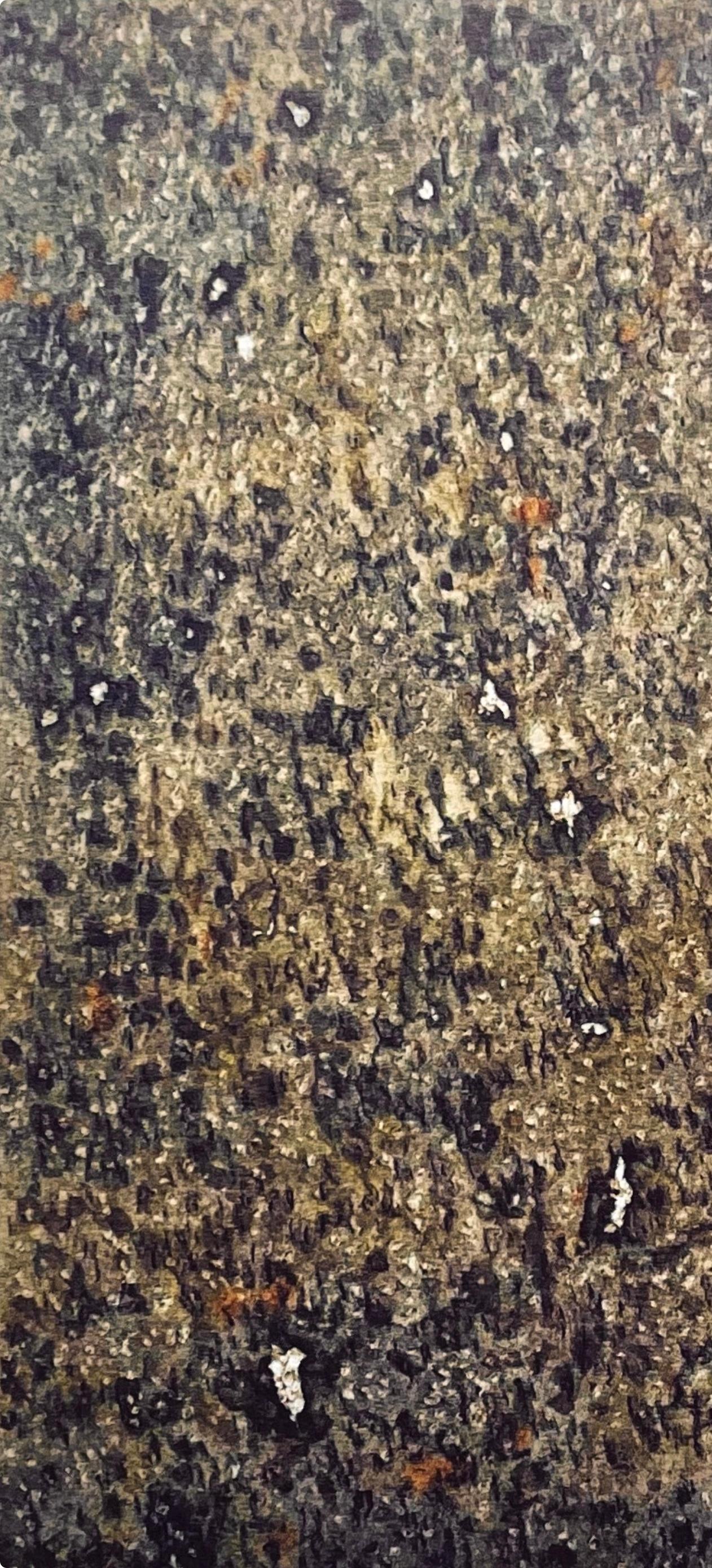 Tobey, L'automne, Mark Tobey, Peintres d'aujourd'hui (after) For Sale 2