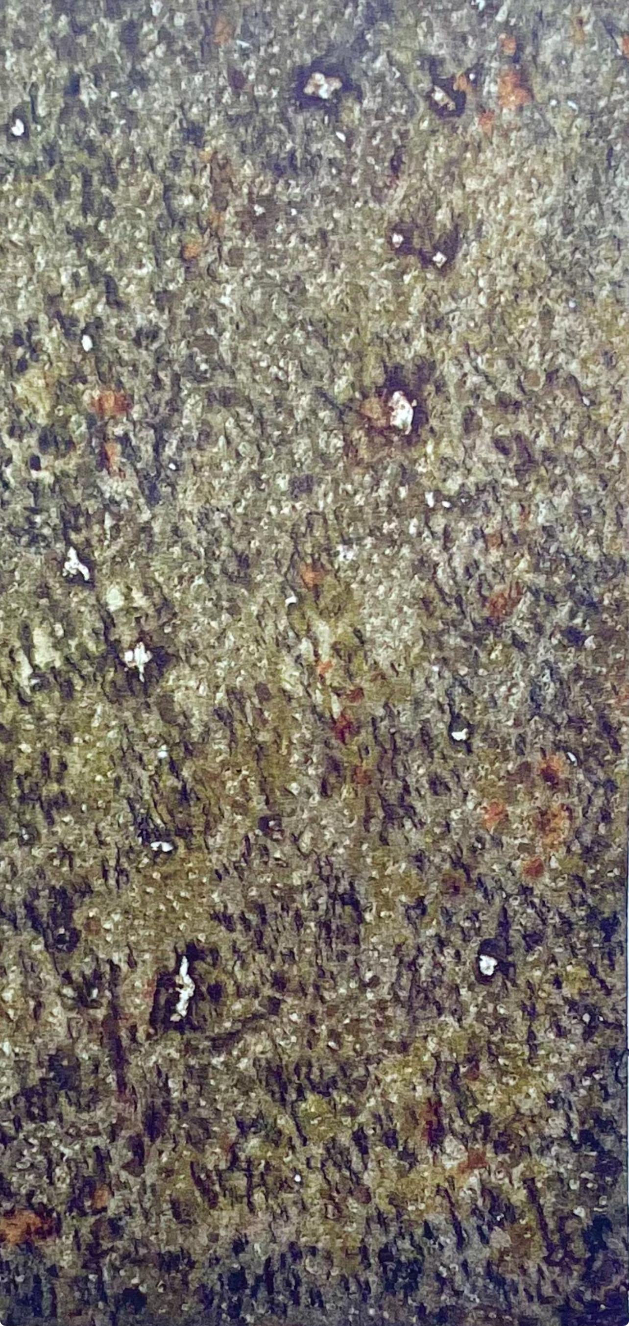 Tobey, L'automne, Mark Tobey: Peintres d'aujourd'hui (after) For Sale 3