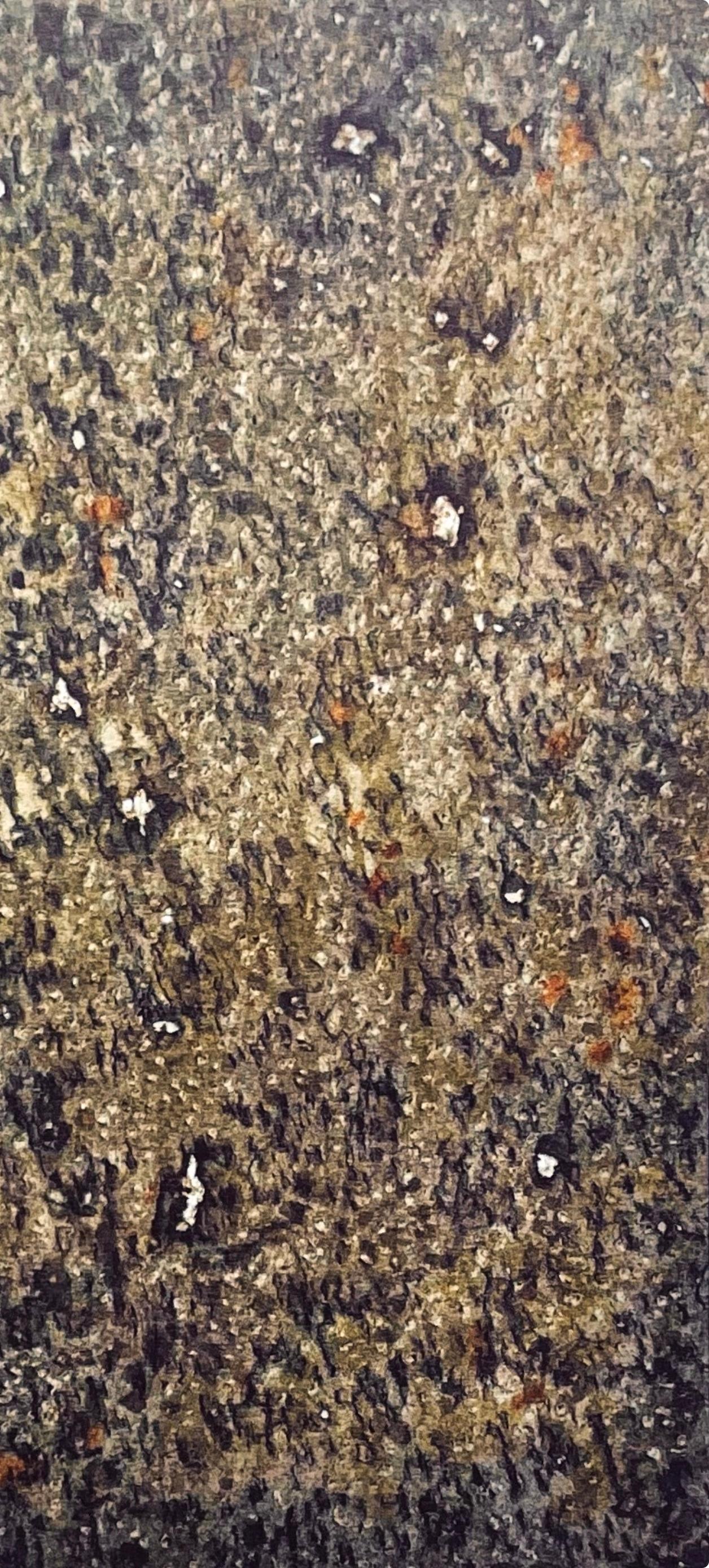 Tobey, L'automne, Mark Tobey, Peintres d'aujourd'hui (after) For Sale 3