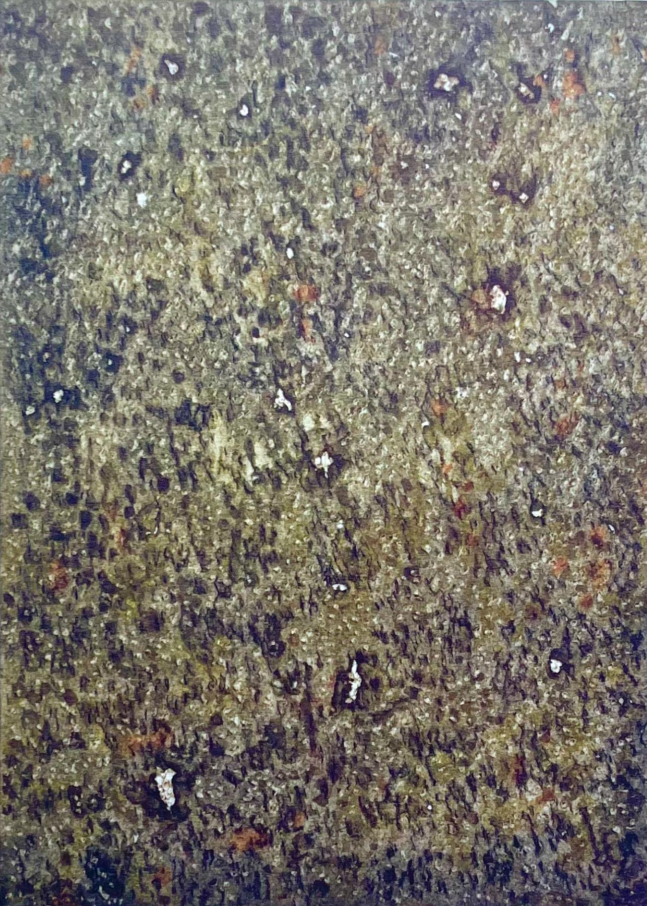 Lithographie auf Velin. Unsigniert und nicht nummeriert, wie ausgegeben. Guter Zustand; nie gerahmt oder mattiert. Anmerkungen: Aus dem Folio, Mark Tobey: Peintres d'aujourd'hui, 1961. Herausgegeben von Fernand Hazan, Paris; lithografische Platten