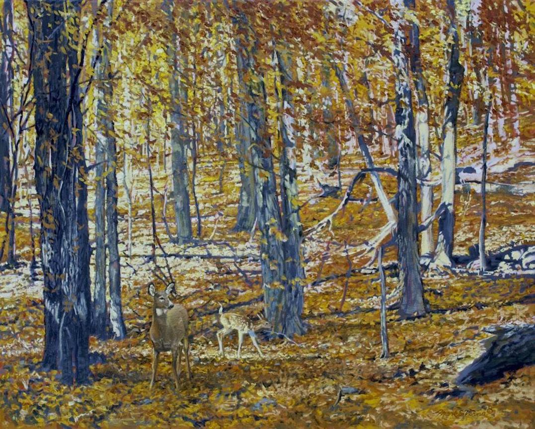 Mark Verna, "Vigilanza e innocenza", 24x30, Paesaggio invernale Wood Deer Painting