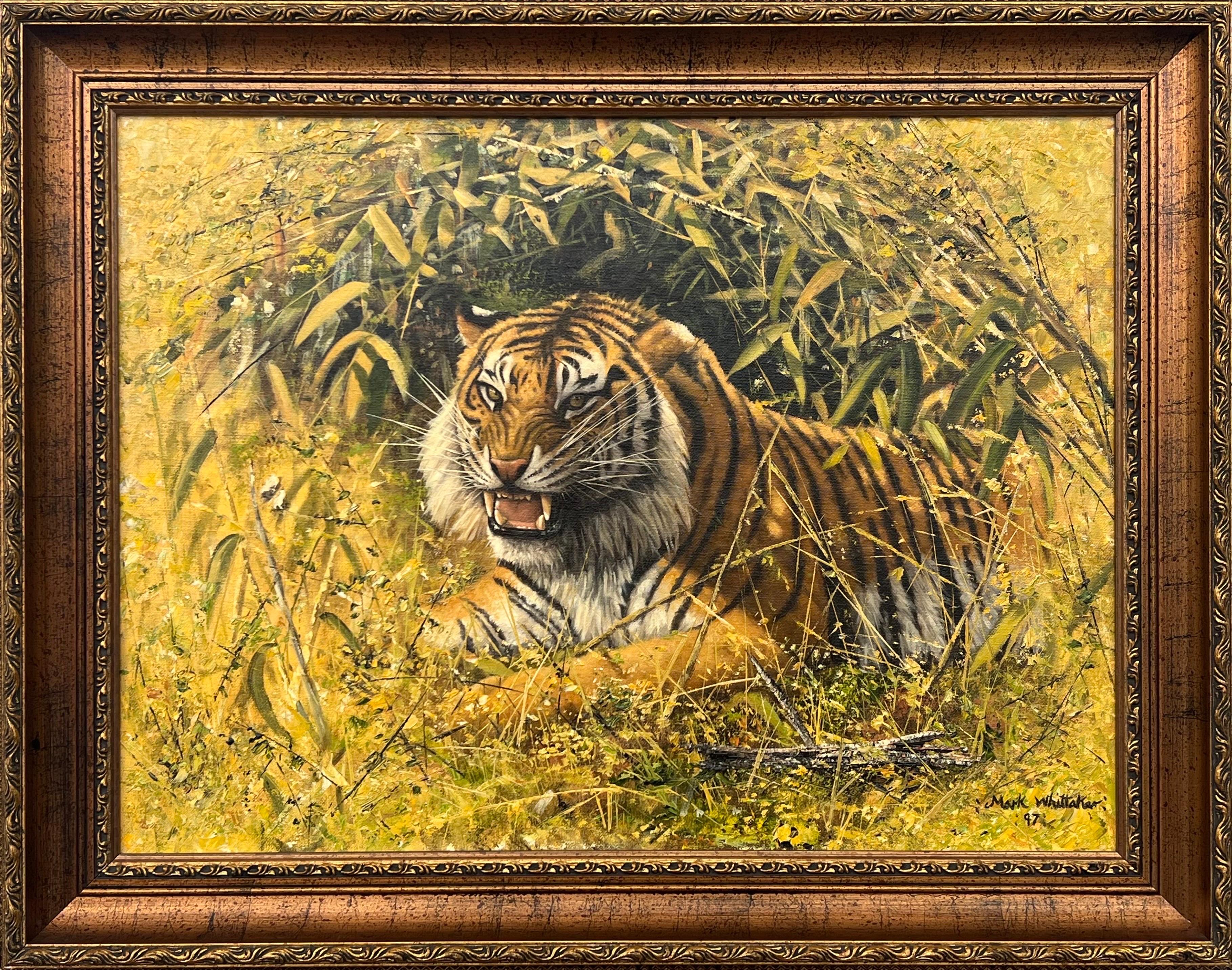 Mark Whittaker Animal Painting - Original Oil Painting of Tiger in the Wild by British Contemporary Artist