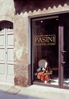 20th Century Color Photography Mark Young Dog in the Window. Venice, Italy Print