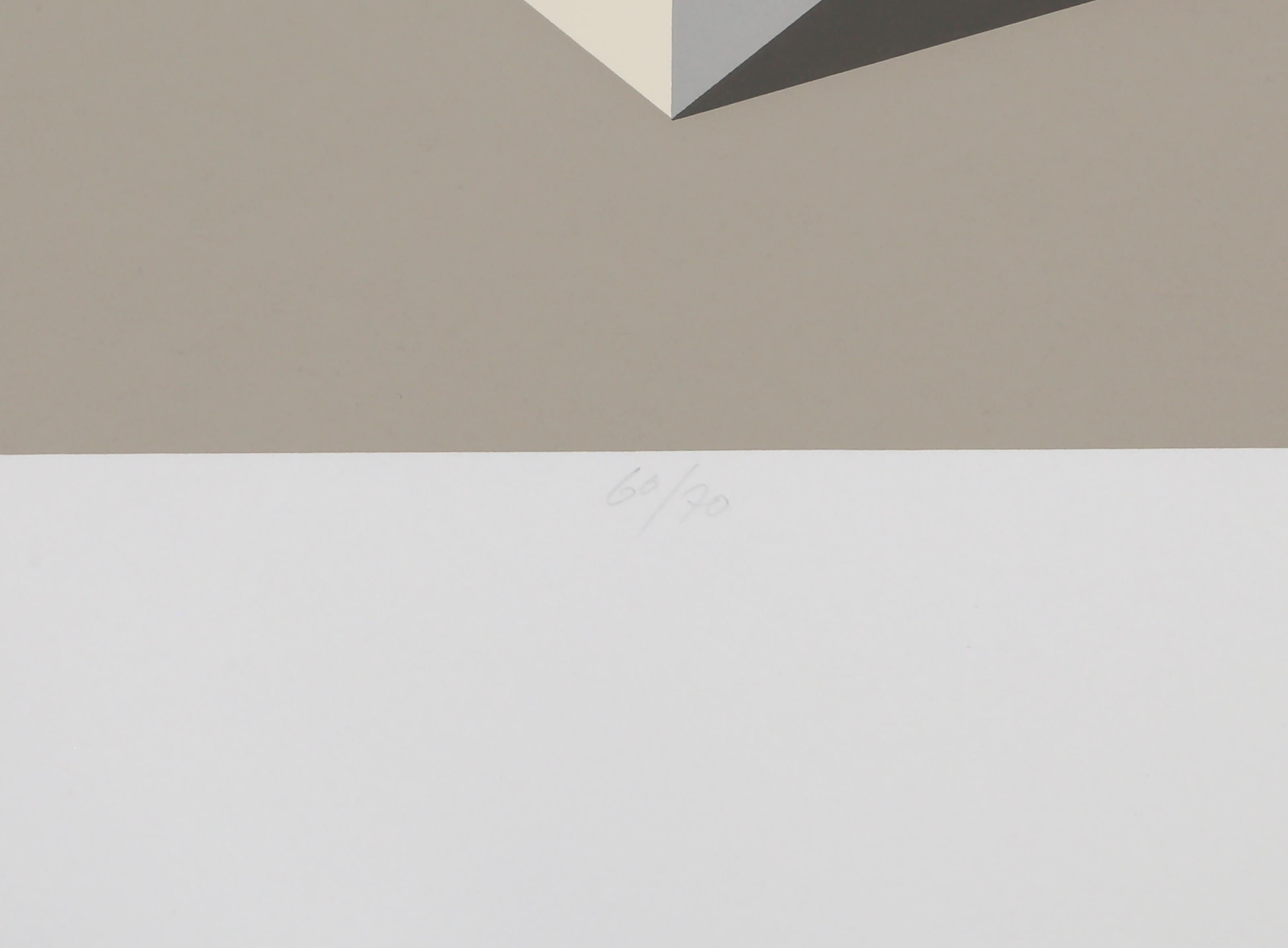 Hydroid I, Geometrischer abstrakter Siebdruck von Marko Spalatin im Angebot 2